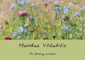 Mundus Volubilis home page